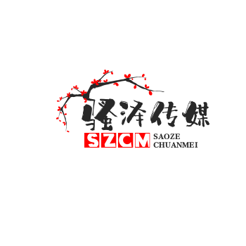互联网技术服务：数字化转型整体解决方案，从网站开发到人工智能技术应用
